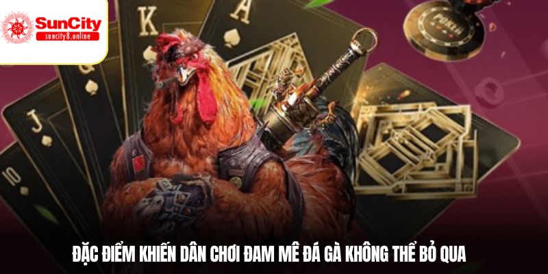 Đặc điểm khiến dân chơi đam mê đá gà không thể bỏ qua