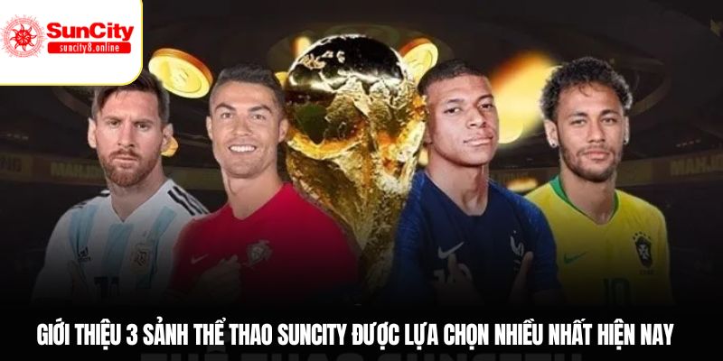 Giới thiệu 3 sảnh thể thao Suncity được lựa chọn nhiều nhất hiện nay